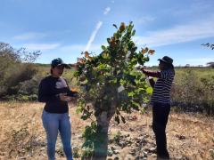 WhatsApp Image 2020-01-07 at 10.22.10 (2).jpeg