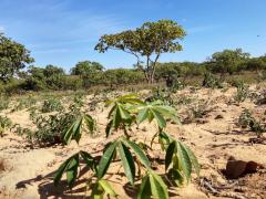 WhatsApp Image 2020-01-07 at 10.22.11 (2).jpeg