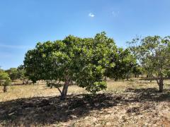 WhatsApp Image 2020-01-07 at 10.22.11 (9).jpeg