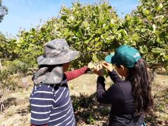 WhatsApp Image 2020-01-07 at 10.22.12 (2).jpeg