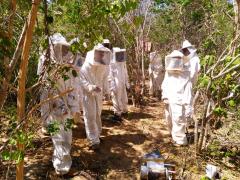 WhatsApp Image 2020-01-09 at 11.41.58 (1).jpeg