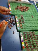 WhatsApp Image 2020-01-09 at 14.03.27 (2).jpeg