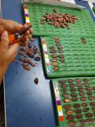 WhatsApp Image 2020-01-09 at 14.03.28.jpeg