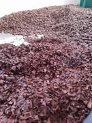 WhatsApp Image 2020-01-10 at 16.25.33 (3).jpeg