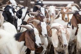 WhatsApp Image 2020-01-21 at 15.27.16.jpeg