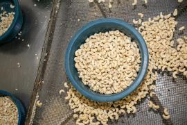 WhatsApp Image 2020-01-21 at 15.27.18 (1).jpeg