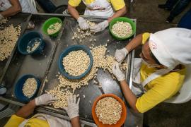 WhatsApp Image 2020-01-21 at 15.27.18 (2).jpeg