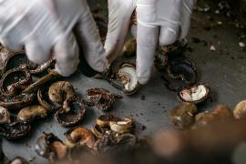 WhatsApp Image 2020-01-21 at 15.27.18.jpeg