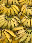 WhatsApp Image 2020-01-21 at 17.56.24.jpeg