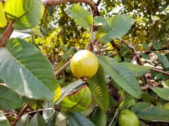 WhatsApp Image 2020-01-21 at 17.57.12 (1).jpeg