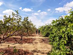 WhatsApp Image 2020-01-21 at 17.57.12.jpeg