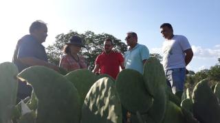 WhatsApp Image 2020-01-27 at 15.26.04.jpeg