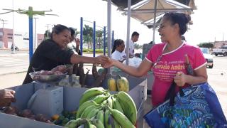 Feira- Sento Se (27).jpg