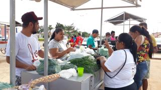 Feira- Sento Se (7).jpg