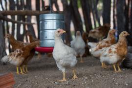 WhatsApp Image 2020-02-07 at 14.42.41.jpeg