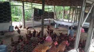 WhatsApp Image 2020-02-07 at 15.31.32 (2).jpeg