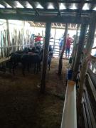 WhatsApp Image 2020-02-13 at 16.49.14.jpeg