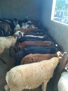 WhatsApp Image 2020-02-13 at 16.50.35 (2).jpeg