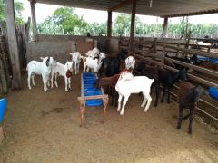 WhatsApp Image 2020-02-13 at 16.51.21.jpeg