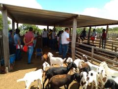 WhatsApp Image 2020-02-13 at 16.51.22 (1).jpeg