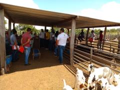 WhatsApp Image 2020-02-13 at 16.51.22 (2).jpeg