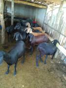 WhatsApp Image 2020-02-13 at 16.51.22 (3).jpeg