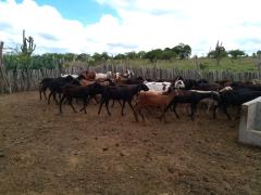 WhatsApp Image 2020-02-13 at 16.51.22.jpeg