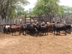 WhatsApp Image 2020-02-13 at 16.51.23 (1).jpeg