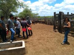 WhatsApp Image 2020-02-13 at 16.51.24.jpeg