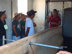 WhatsApp Image 2020-02-13 at 16.51.25 (1).jpeg