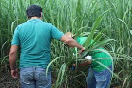 WhatsApp Image 2020-02-14 at 16.39.32 (1).jpeg