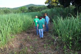 WhatsApp Image 2020-02-14 at 16.39.32.jpeg