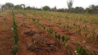 WhatsApp Image 2020-02-17 at 17.00.13.jpeg