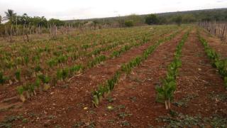 WhatsApp Image 2020-02-17 at 17.00.14 (1).jpeg