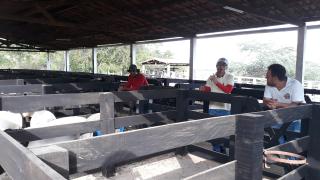 Centro de Reproducao - Andorinha (5).jpg