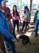 WhatsApp Image 2020-03-04 at 12.59.56 (1).jpeg