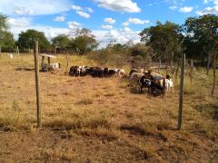 WhatsApp Image 2020-03-04 at 12.59.57 (1).jpeg