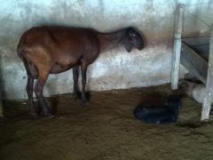 WhatsApp Image 2020-03-04 at 12.59.58 (2).jpeg