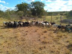 WhatsApp Image 2020-03-04 at 13.00.00 (3).jpeg