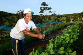 WhatsApp Image 2020-03-06 at 15.52.16.jpeg