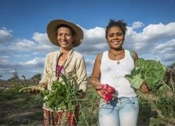 foto garantia safra.jpg