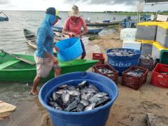 WhatsApp Image 2020-04-07 at 12.07.50.jpeg