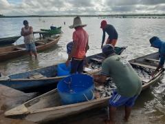 WhatsApp Image 2020-04-07 at 12.07.51 (1).jpeg