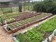 WhatsApp Image 2020-04-29 at 16.13.22.jpeg