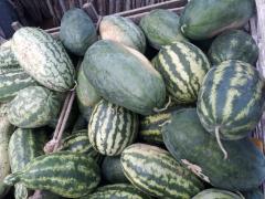 WhatsApp Image 2020-04-29 at 16.13.23.jpeg