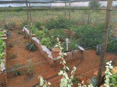 WhatsApp Image 2020-04-29 at 16.13.26.jpeg