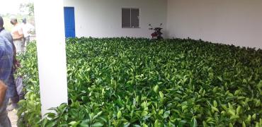 Agricultura Familiar4.jpeg