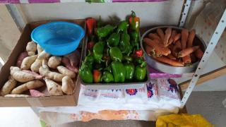 Agricultura_ (2).jpeg