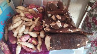 Agricultura_ (3).jpeg