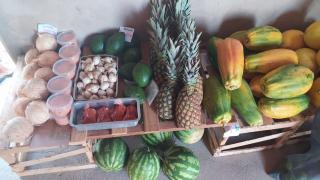 Agricultura_ (4).jpeg